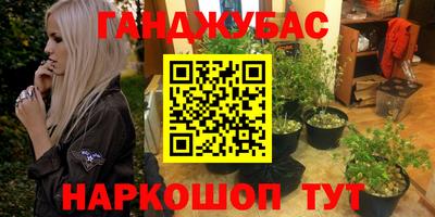ALPHA PVP Малгобек