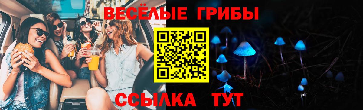 Электрогорск  Псилоцибиновые грибы Psilocybe  Вход с VPN 